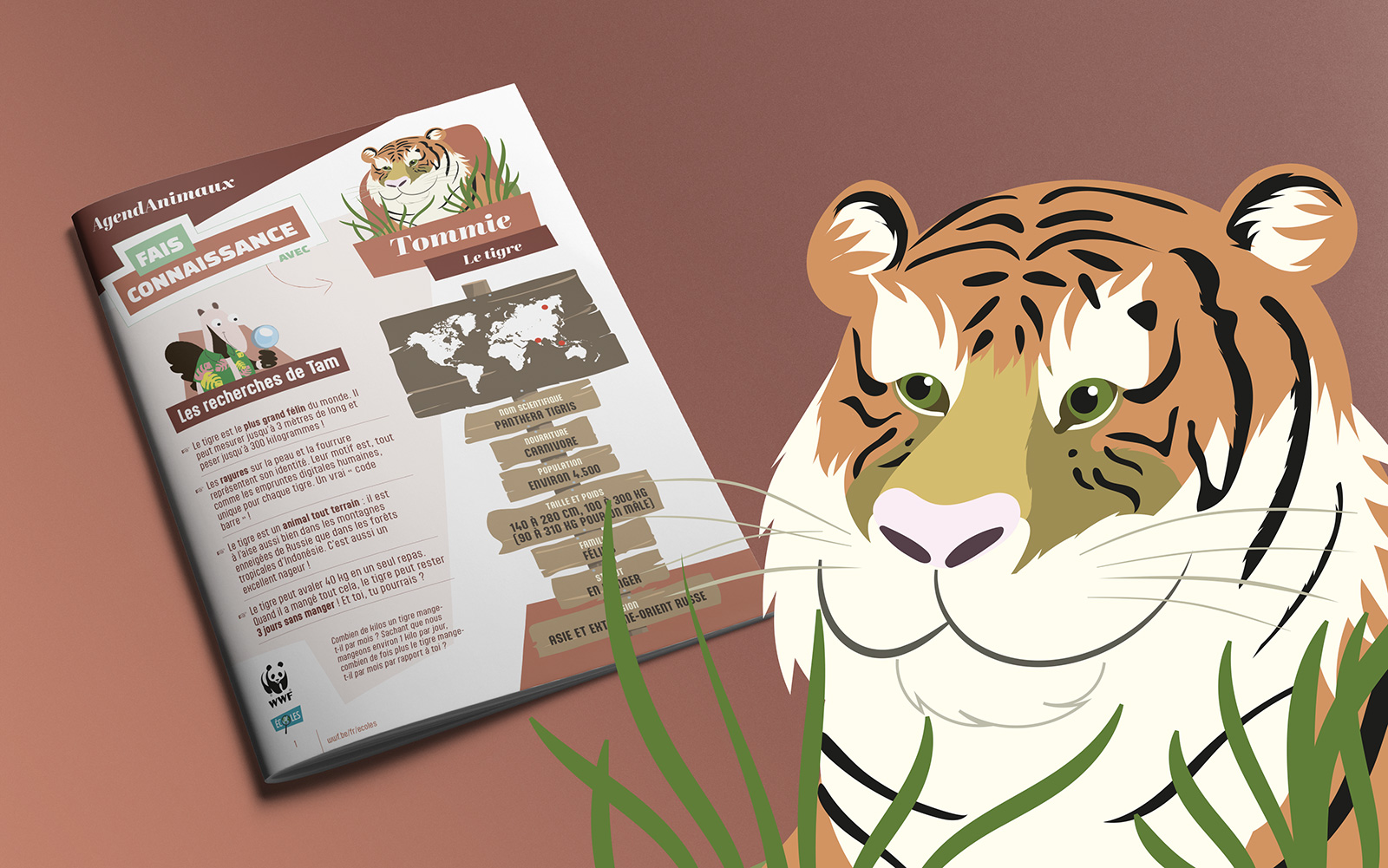 Création d'illustrations et mise en page de fiches pour WWF